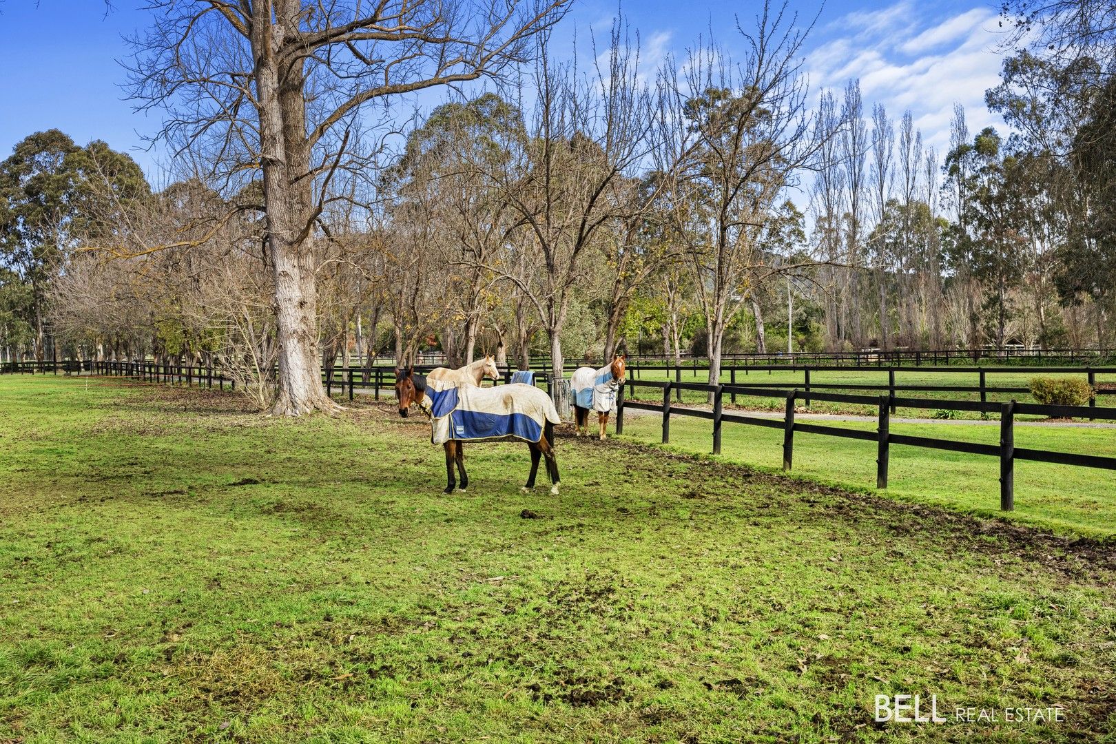 200 Settlement Road, Yarra Junction VIC 3797, Image 0