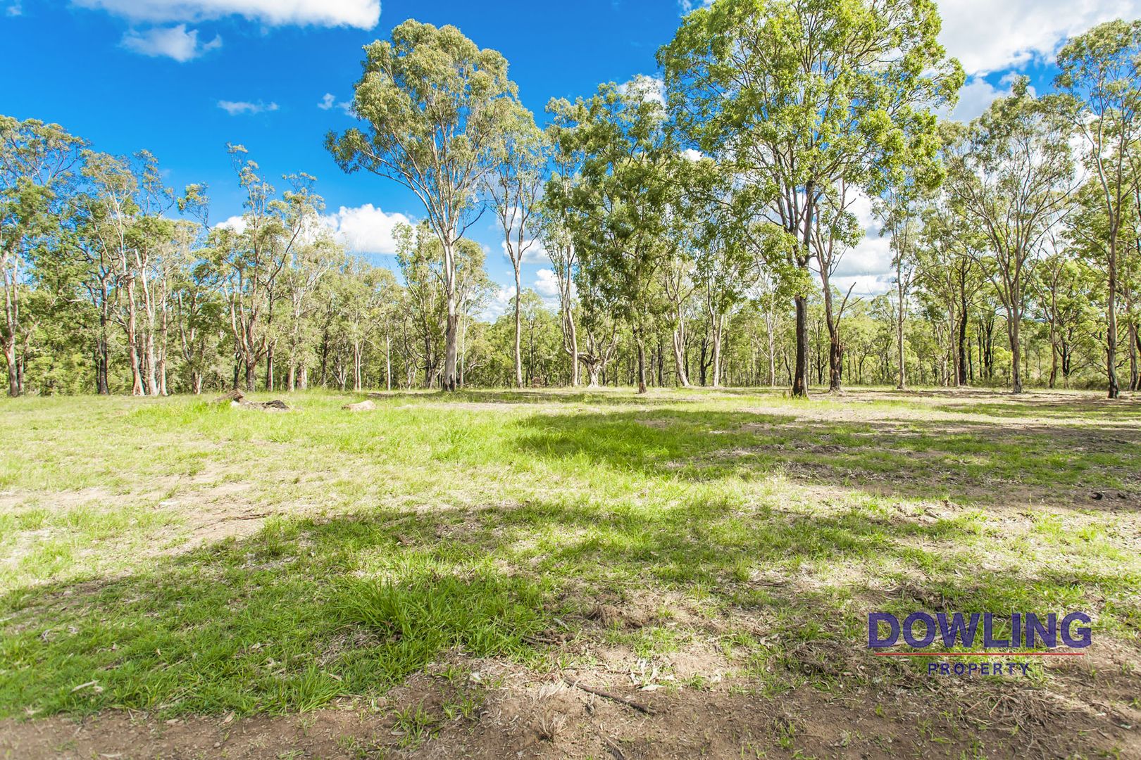 6 WADE CLOSE, Medowie NSW 2318, Image 1