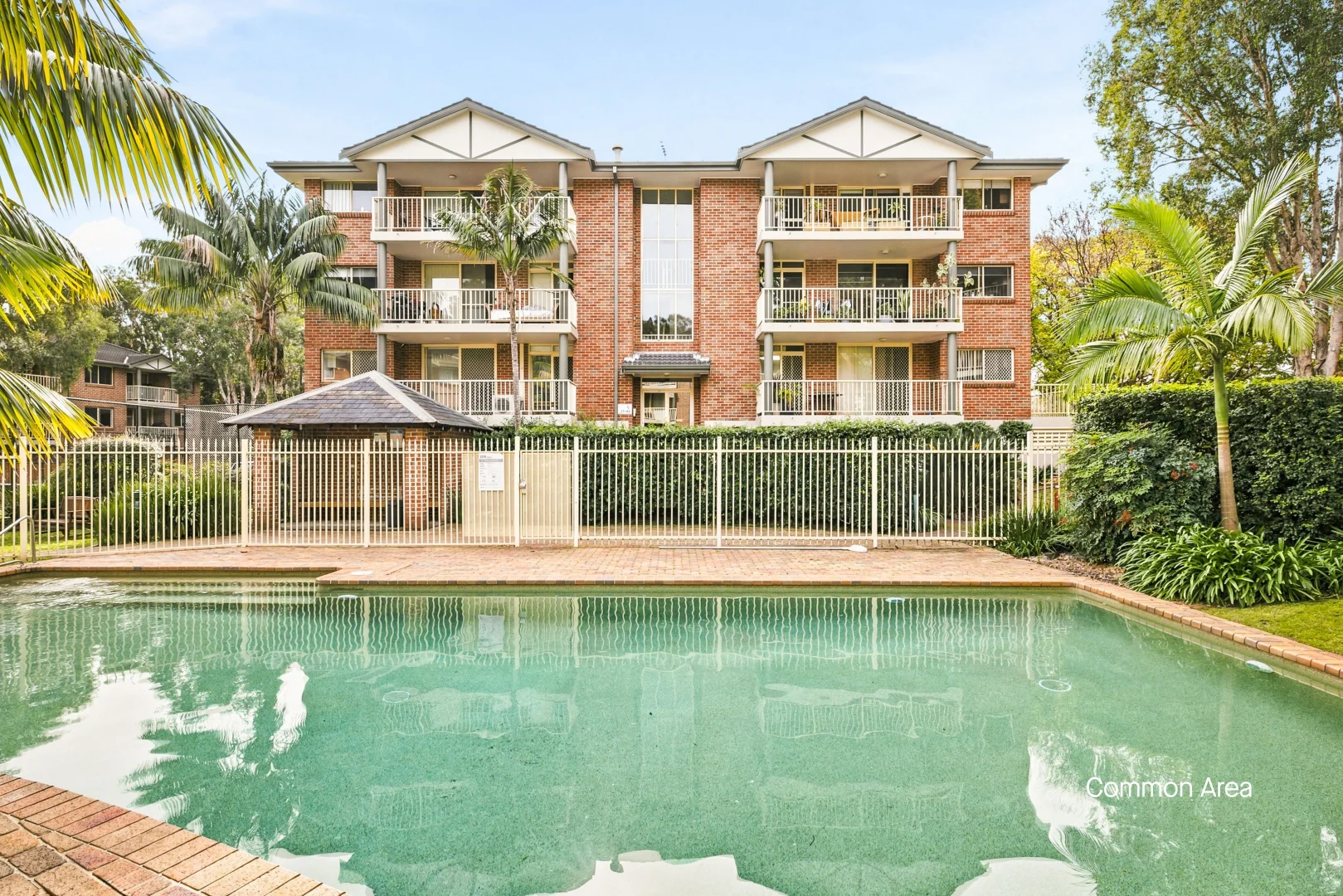 Image 15