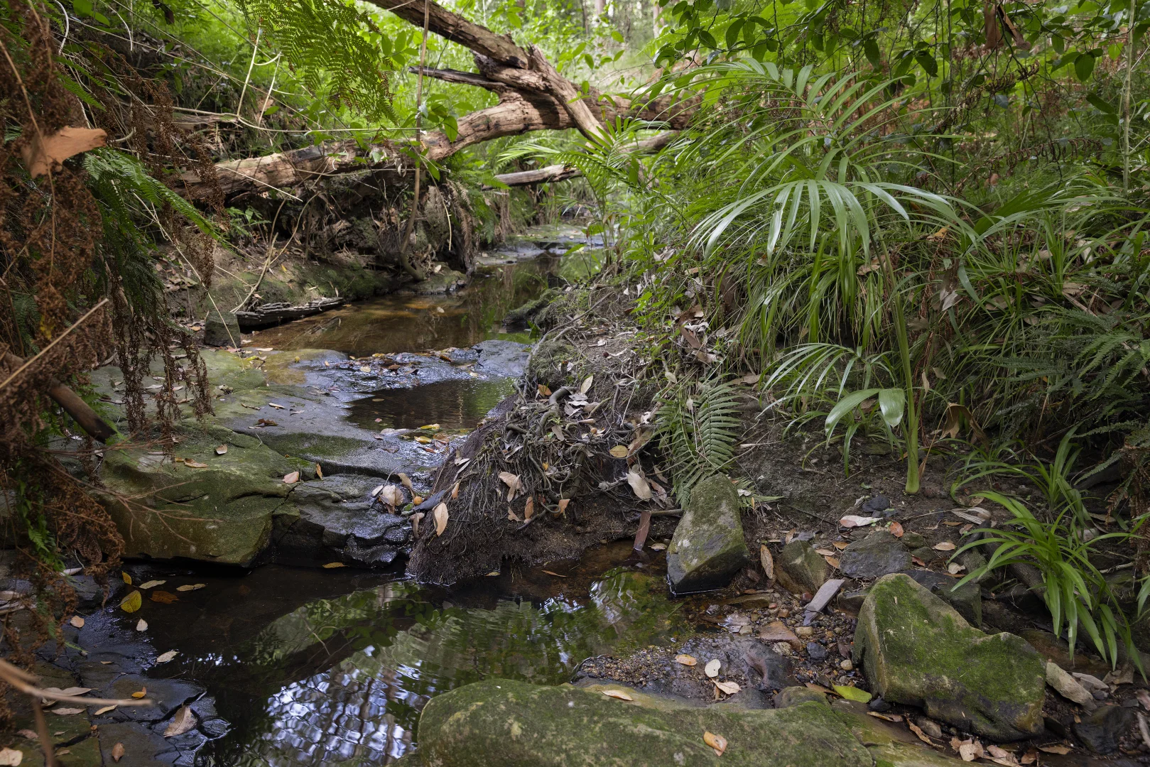 Additional image 21 of 126 Pacific Highway, Jewells NSW 2280