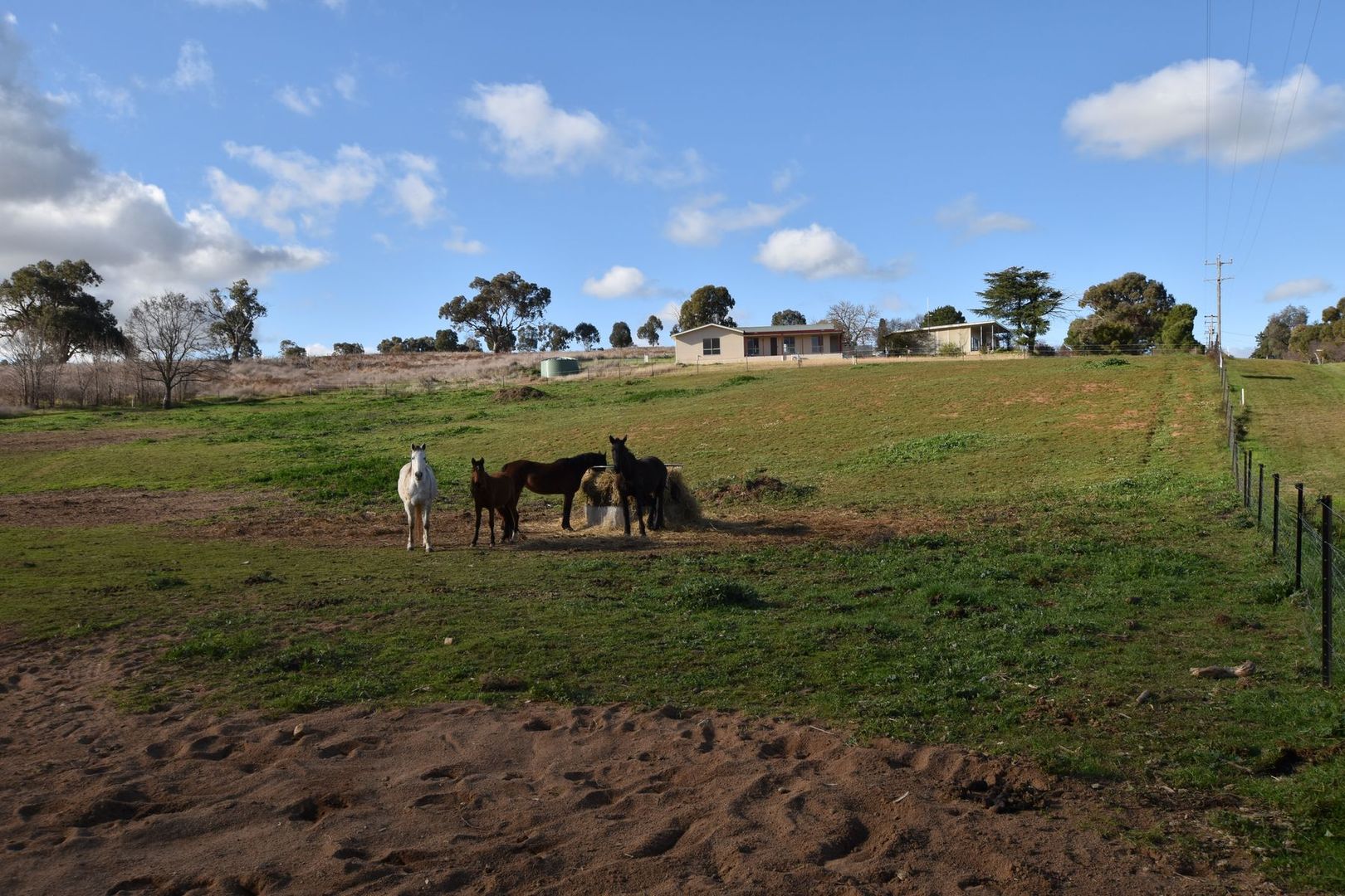 Lots 5 & 6 Renwick Street, Jugiong NSW 2726, Image 2