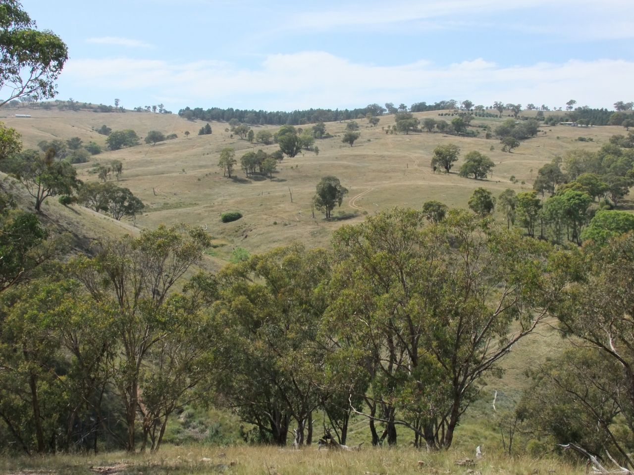 Sofala NSW 2795, Image 1