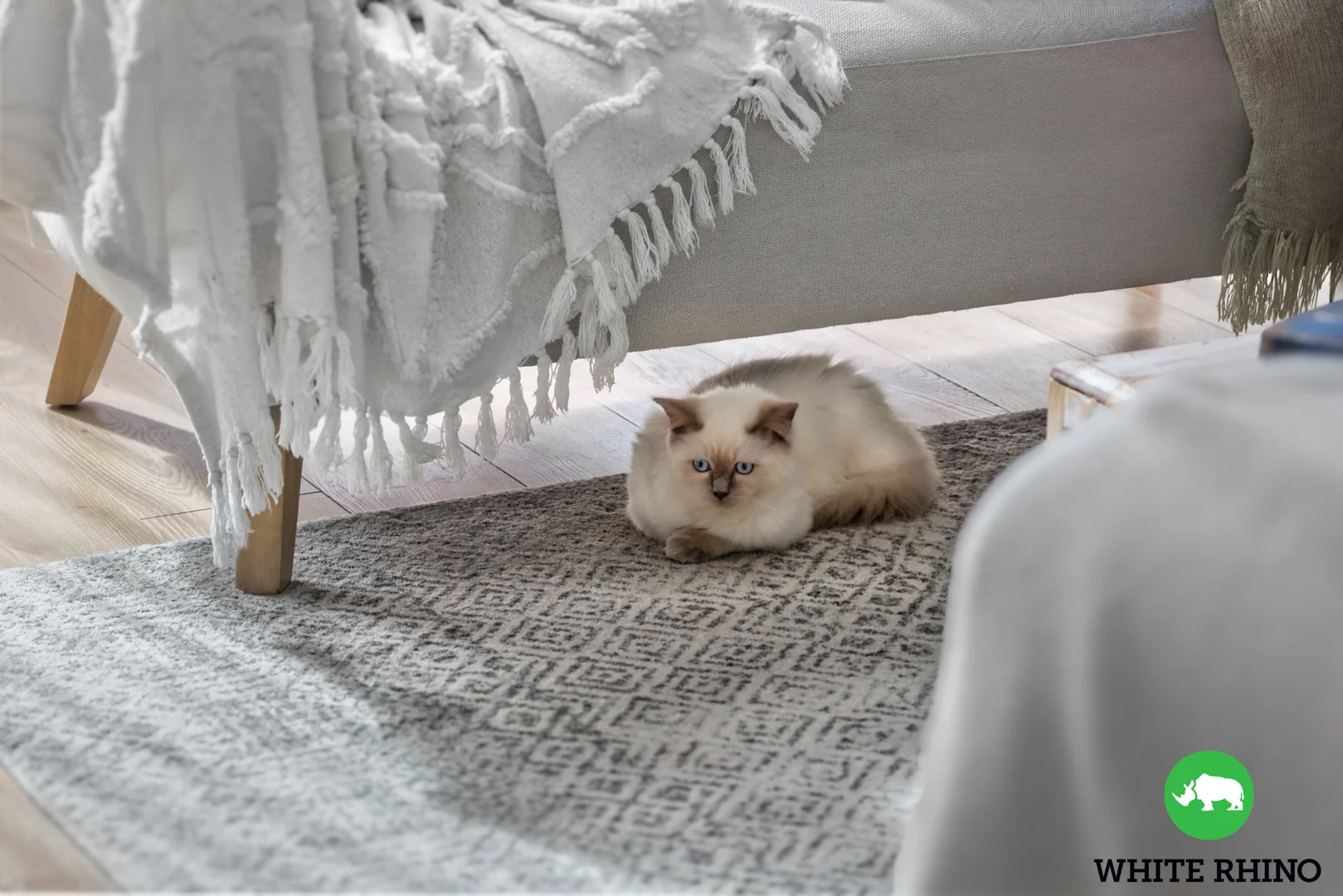 Additional image 14 of 43 Wellsvale Drive, Googong NSW 2620