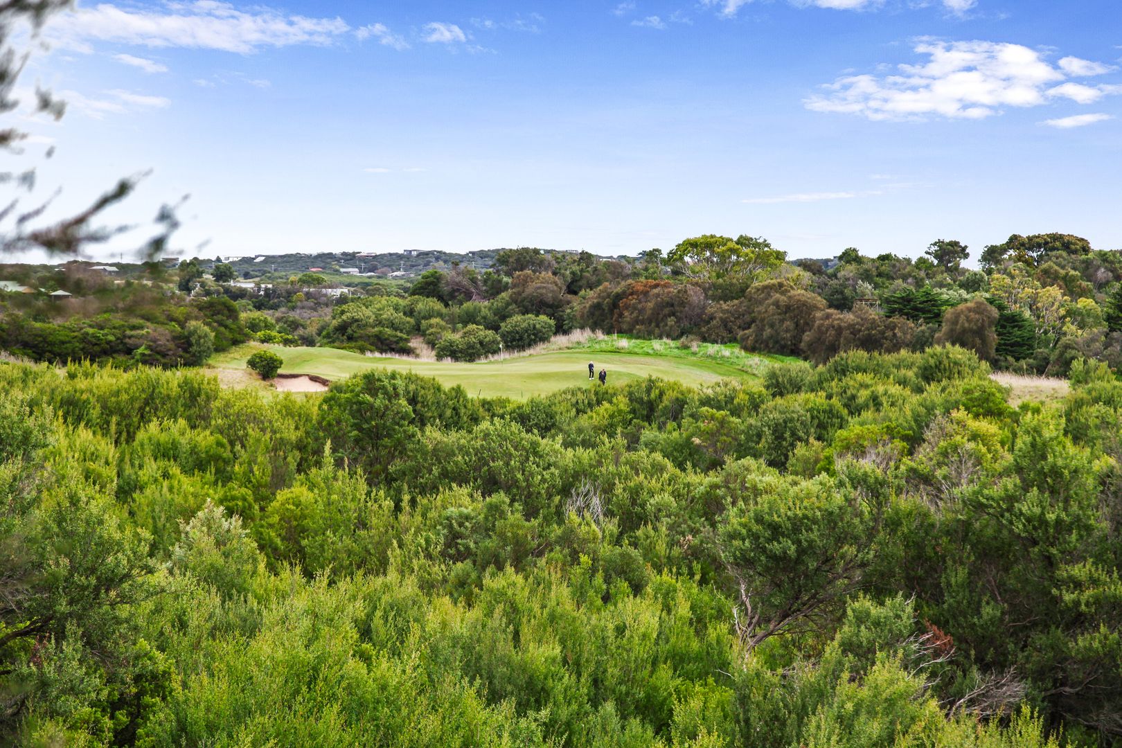 29 Arthurs View, Fingal VIC 3939 Domain