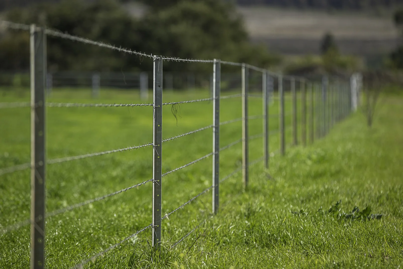 Image 15