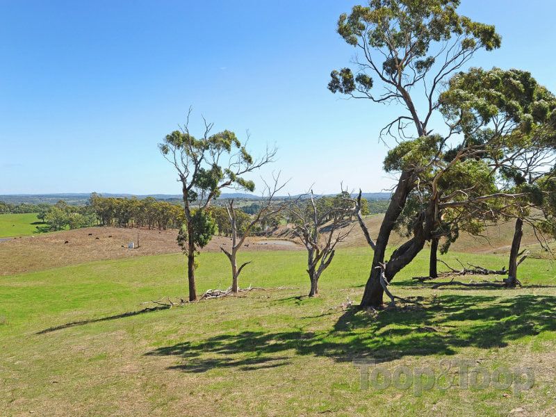 Lot 20 Anderson Road, ECHUNGA SA 5153, Image 1