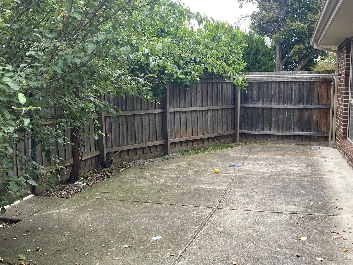 Additional image 7 of 2/58 Eastgate Street, Pascoe Vale South VIC 3044