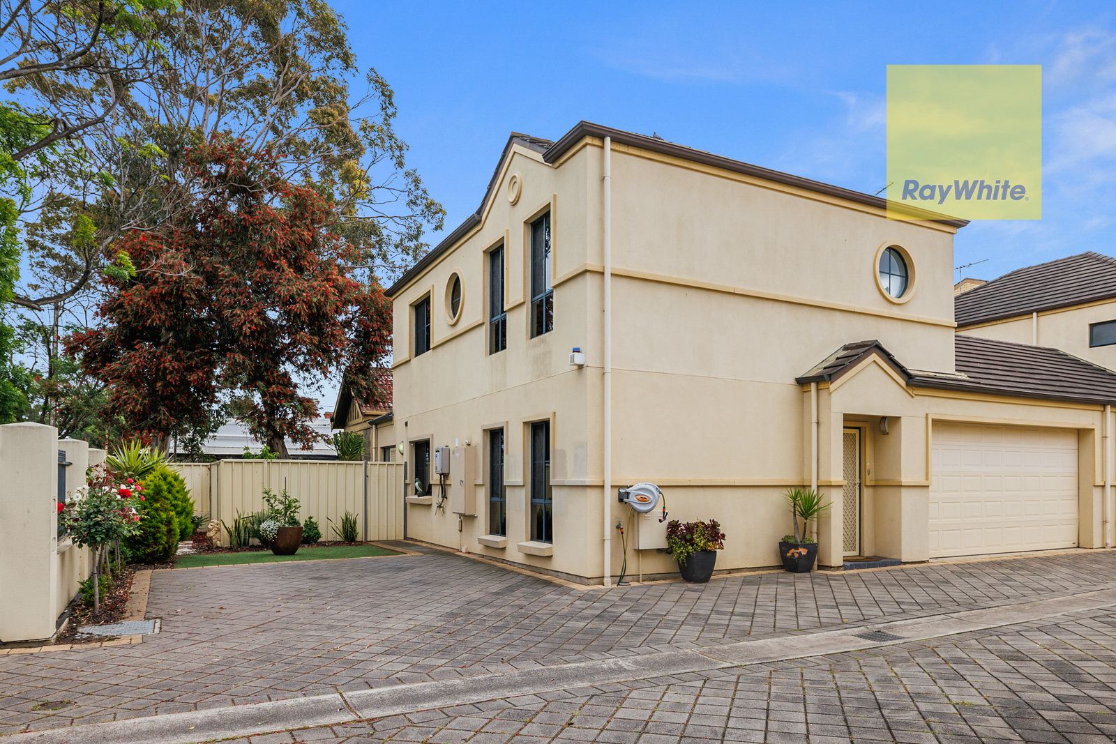 559A Anzac Highway, Glenelg North SA 5045 House For Rent Domain