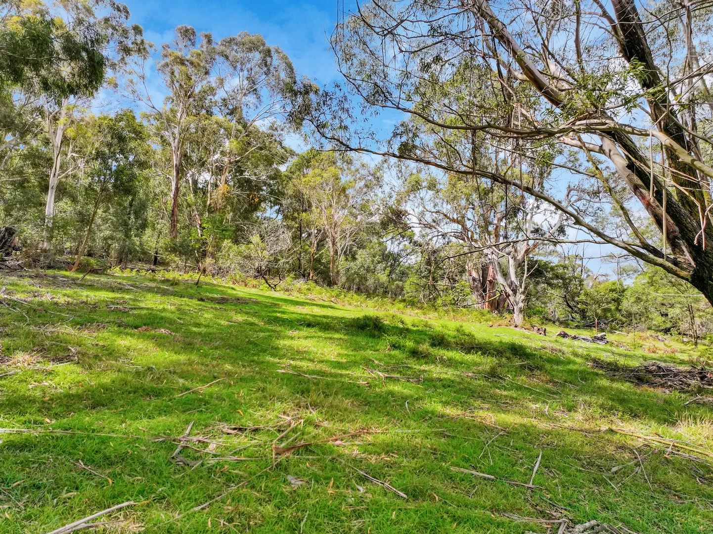 Additional image 10 of 195 Halls Lane, Braidwood NSW 2622