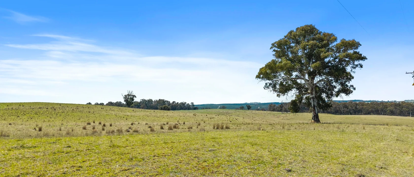 1186 Campbells River Road, Mount David NSW 2795 House for