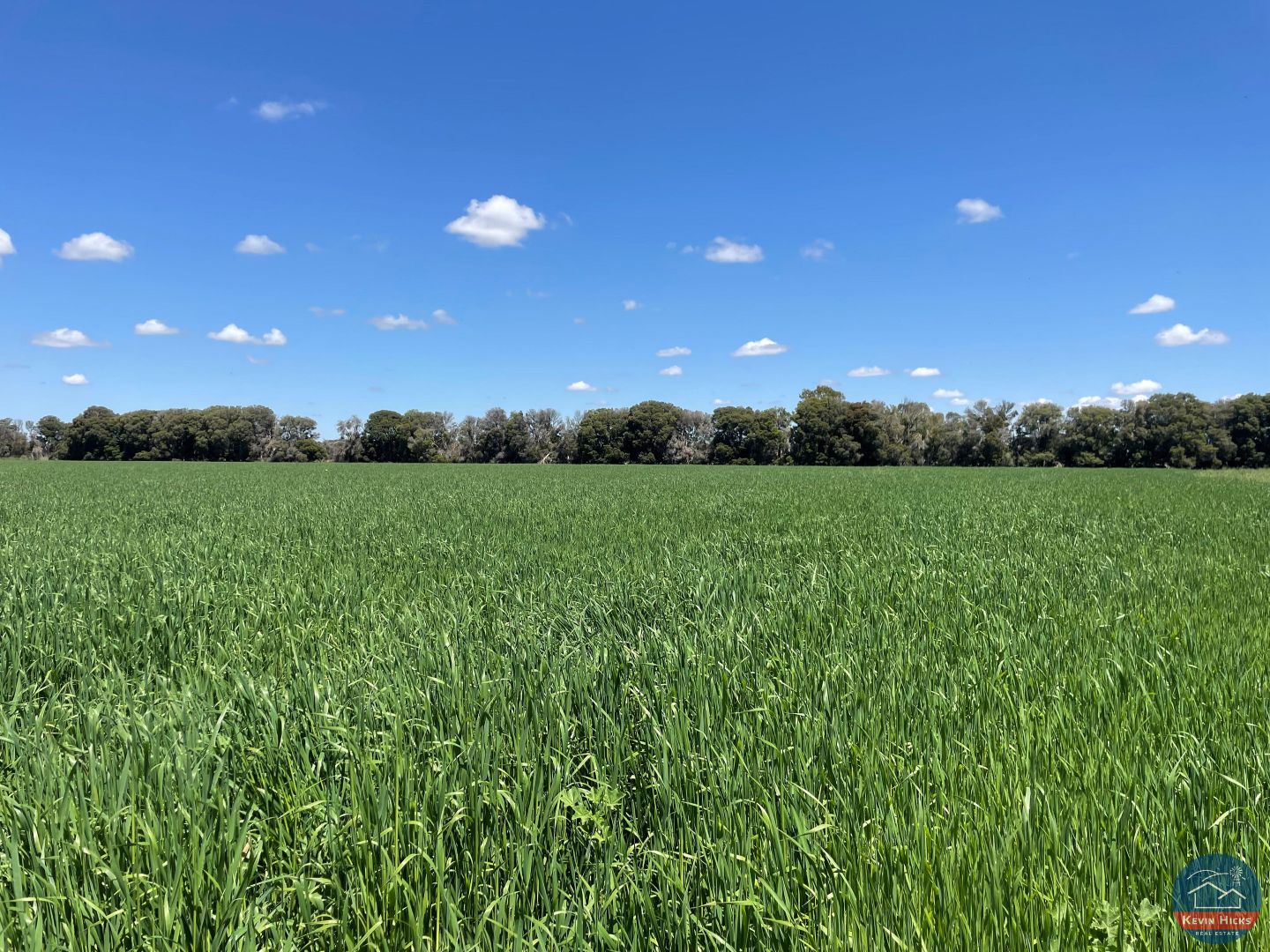 310 Delaney Road, Invergordon VIC 3636 Specialist Farm for Sale