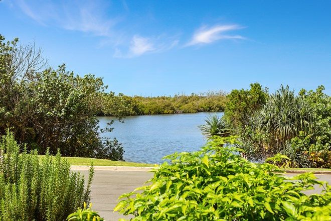 Picture of 1/53 Bimbadeen Avenue, BANORA POINT NSW 2486