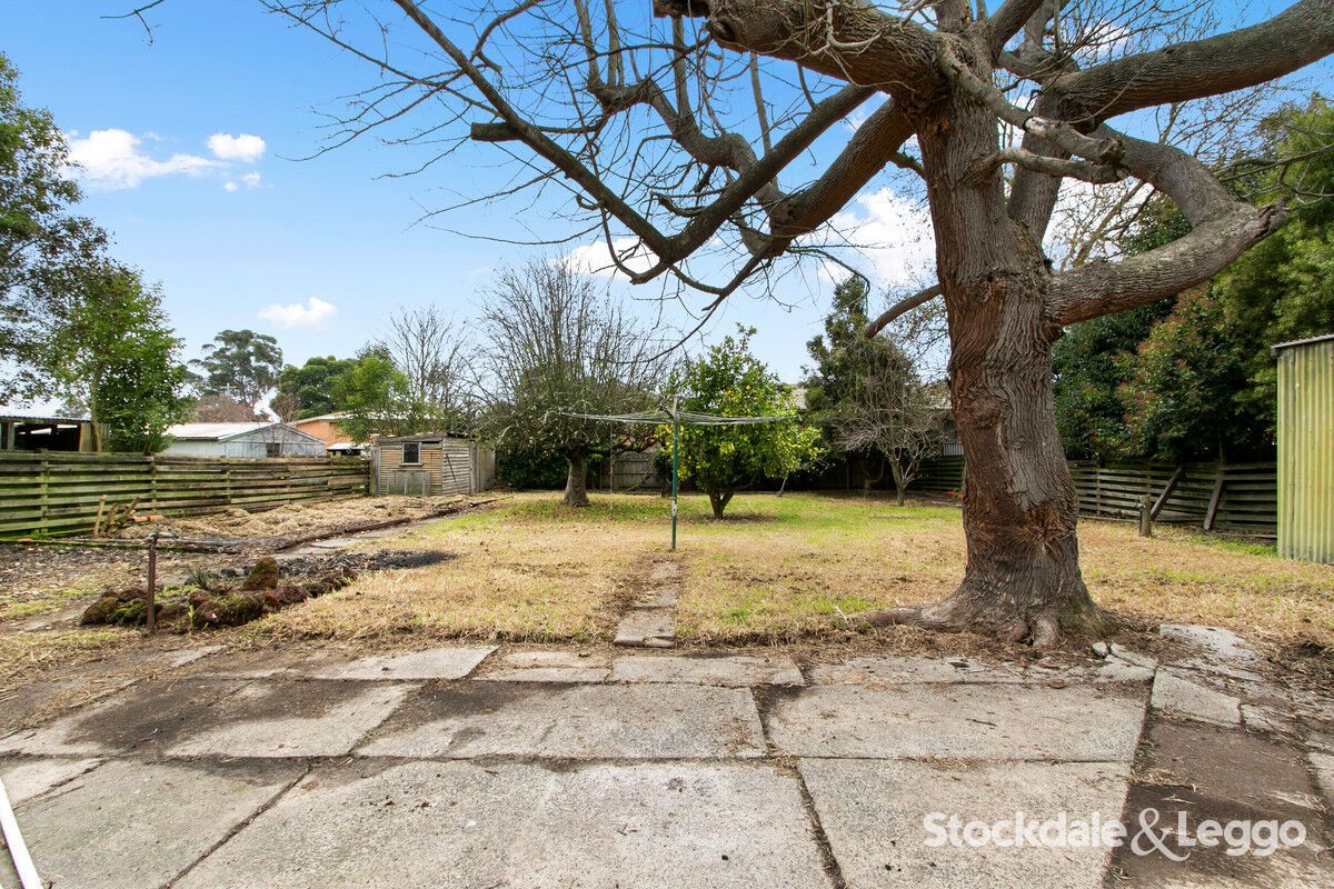 14 Berry Street, Traralgon VIC 3844 Domain