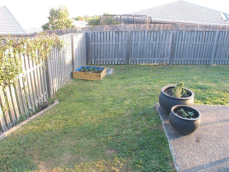 7 Cardwell Street, Upper Coomera QLD 4209 House For Rent 620 Domain