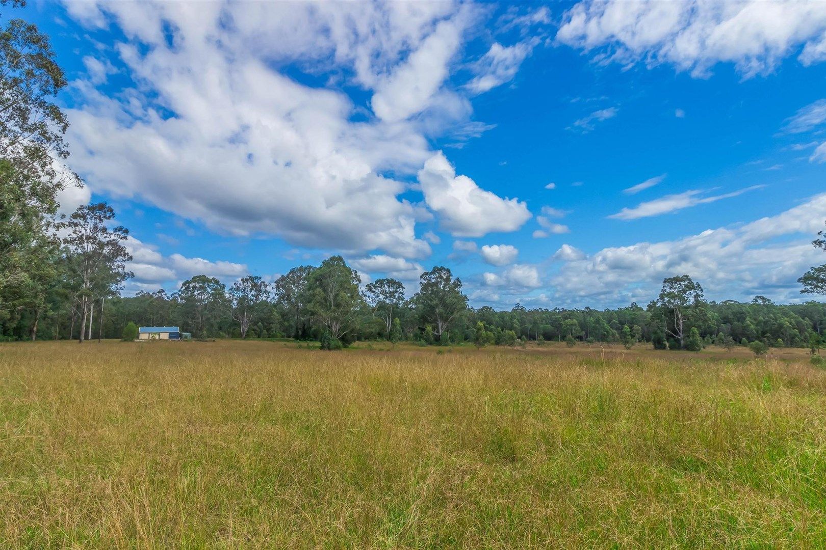 500 Ellangowan - Myrtle Creek Road, Ellangowan NSW 2470, Image 0