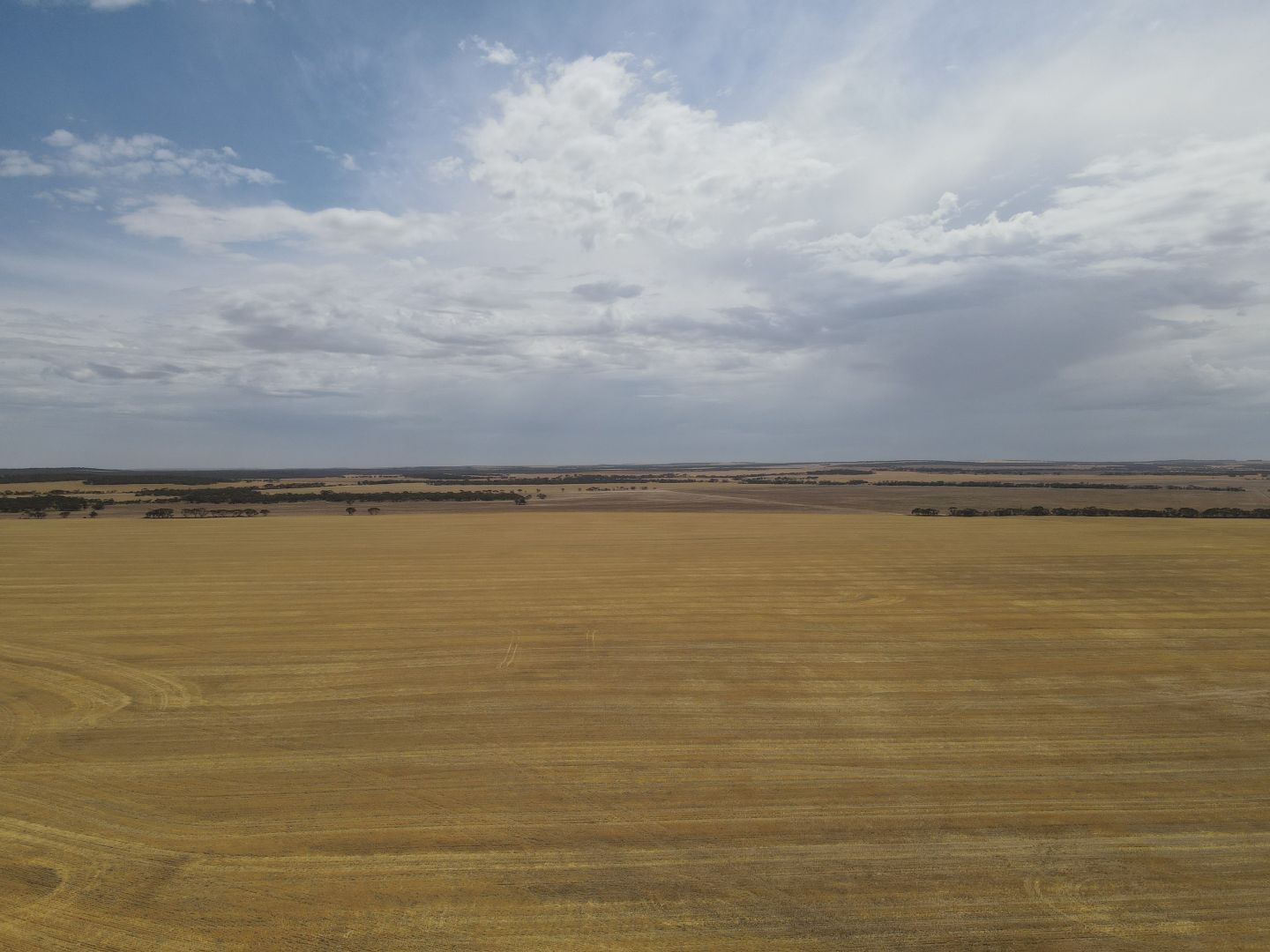 'Raysons' Section 1 & 28 Eyre Highway, Solomon SA 5641, Image 2