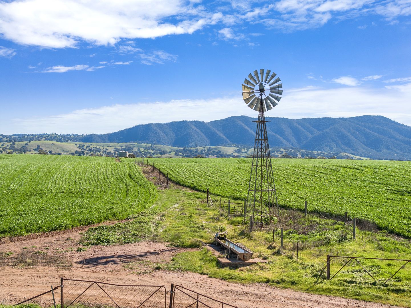 'Wild Dog Creek' Horrocks Highway, Melrose SA 5483, Image 2