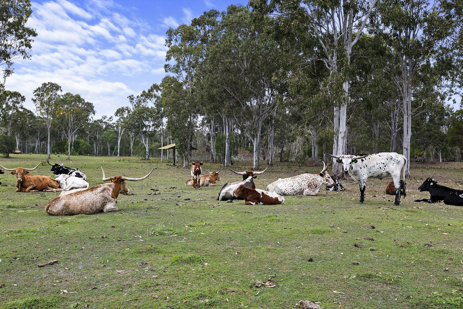 Image 35