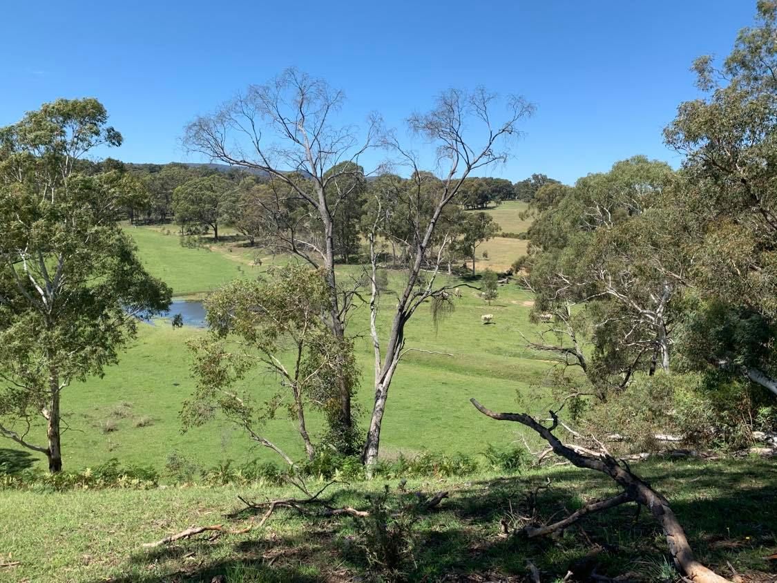 423 Coxs River Road, Kanimbla NSW 2790, Image 1