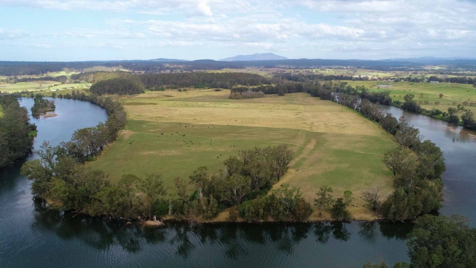 48044806 Princes Highway, Bodalla NSW 2545 House for Sale Domain