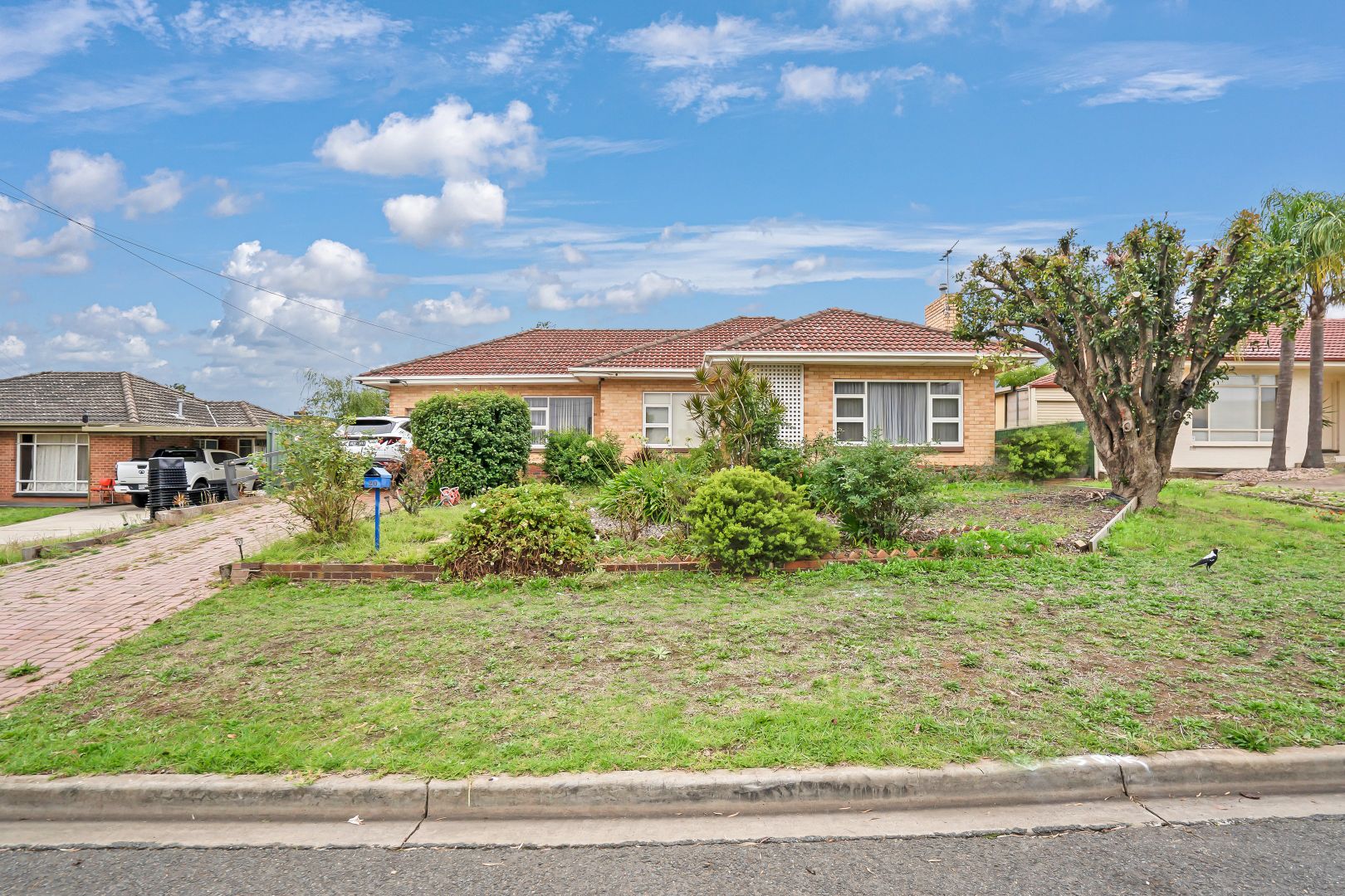 20 Pegasi Avenue, Hope Valley SA 5090, Image 1