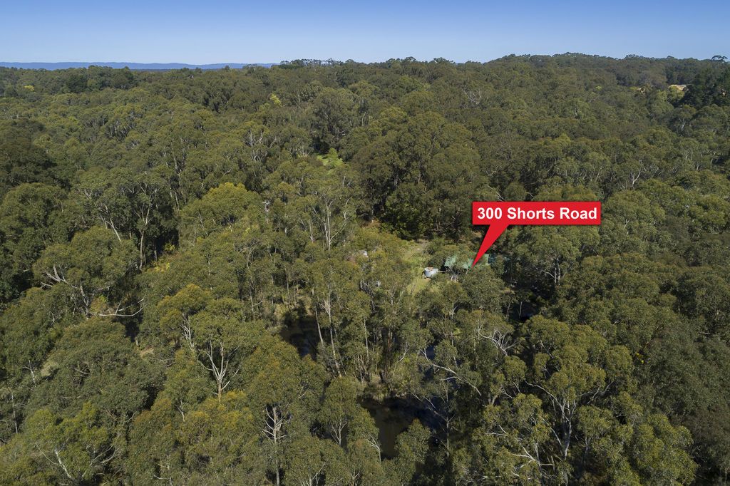 300 Shorts Road, Barongarook VIC 3249, Image 1