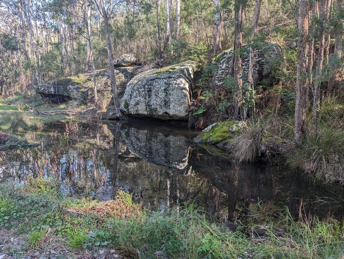 Image 32