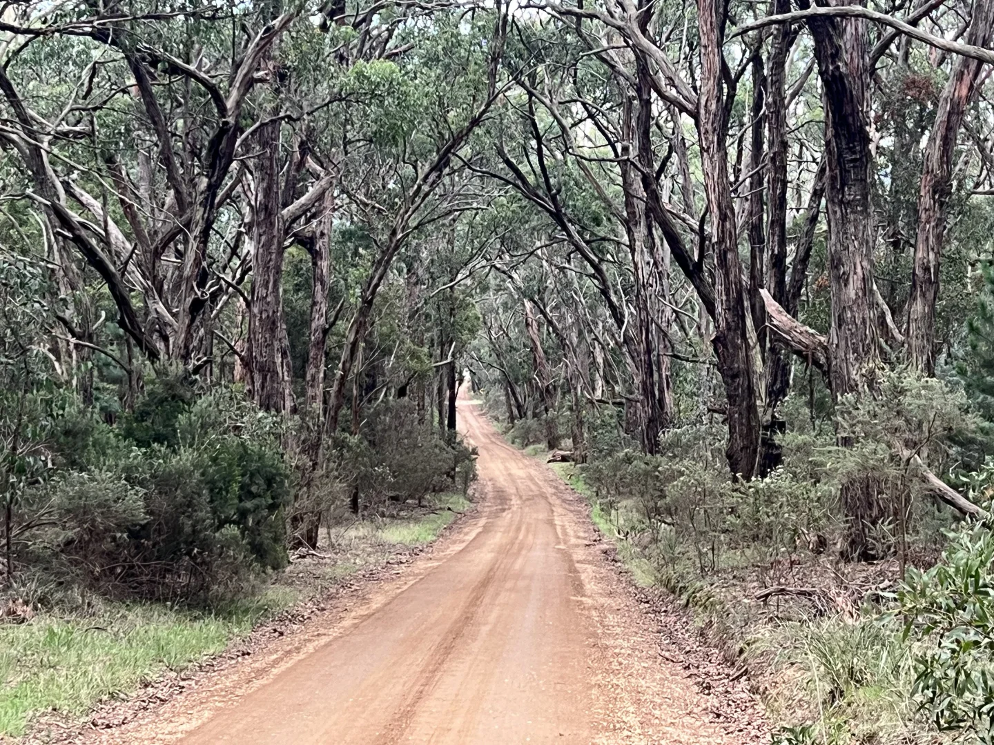 Additional image 13 of Lot 2 Forbes Road, Macedon VIC 3440