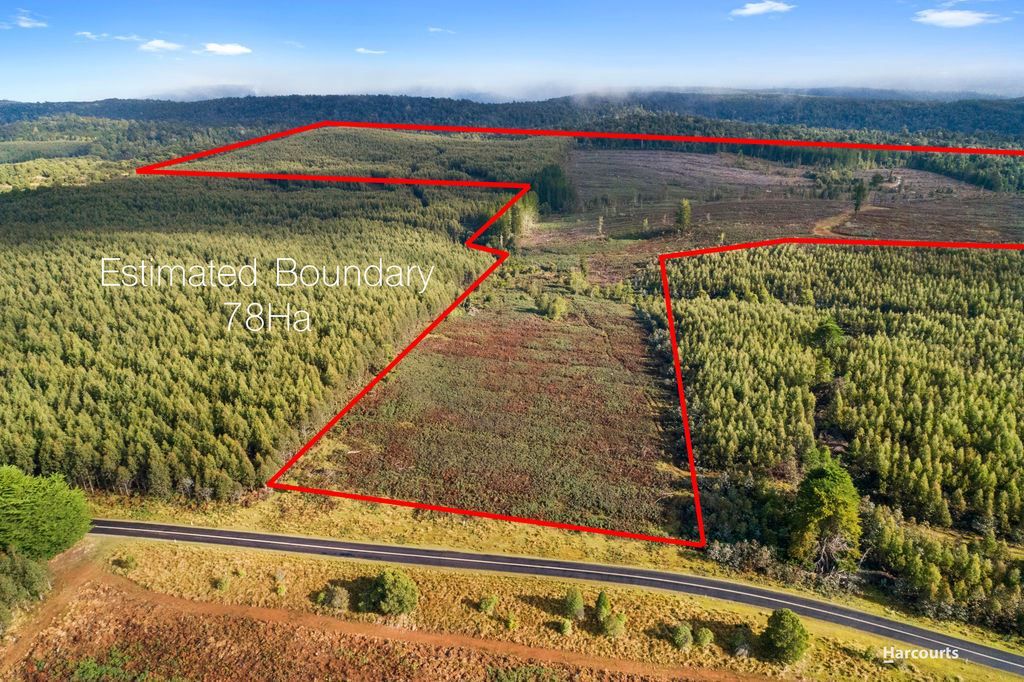 Lot 1 Murchison Highway, Parrawe TAS 7321, Image 0