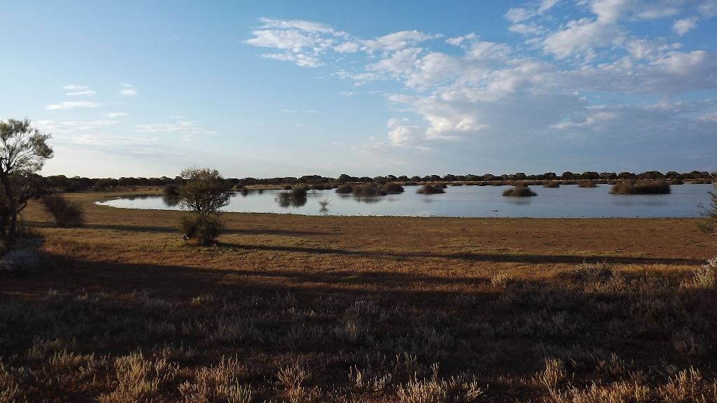 Mullewa WA 6630, Image 2