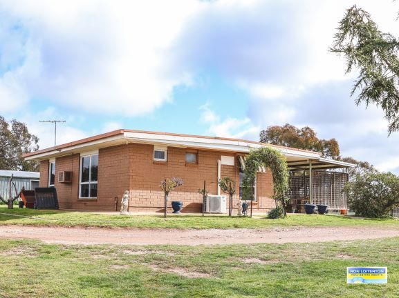 158 Kilrush Road, Cootamundra NSW 2590, Image 0