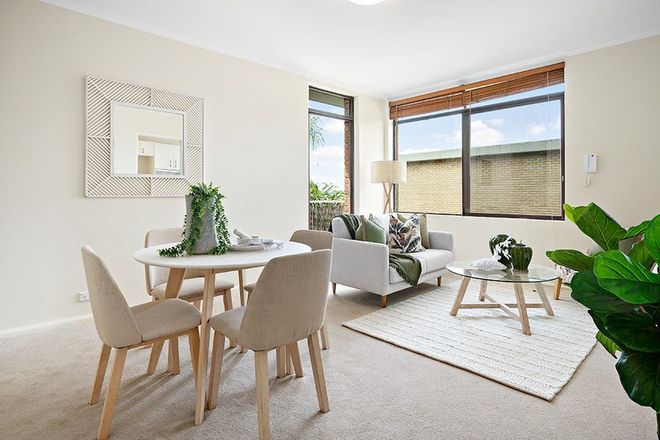 Picture of 5/11-15 Ben Boyd Road, NEUTRAL BAY NSW 2089
