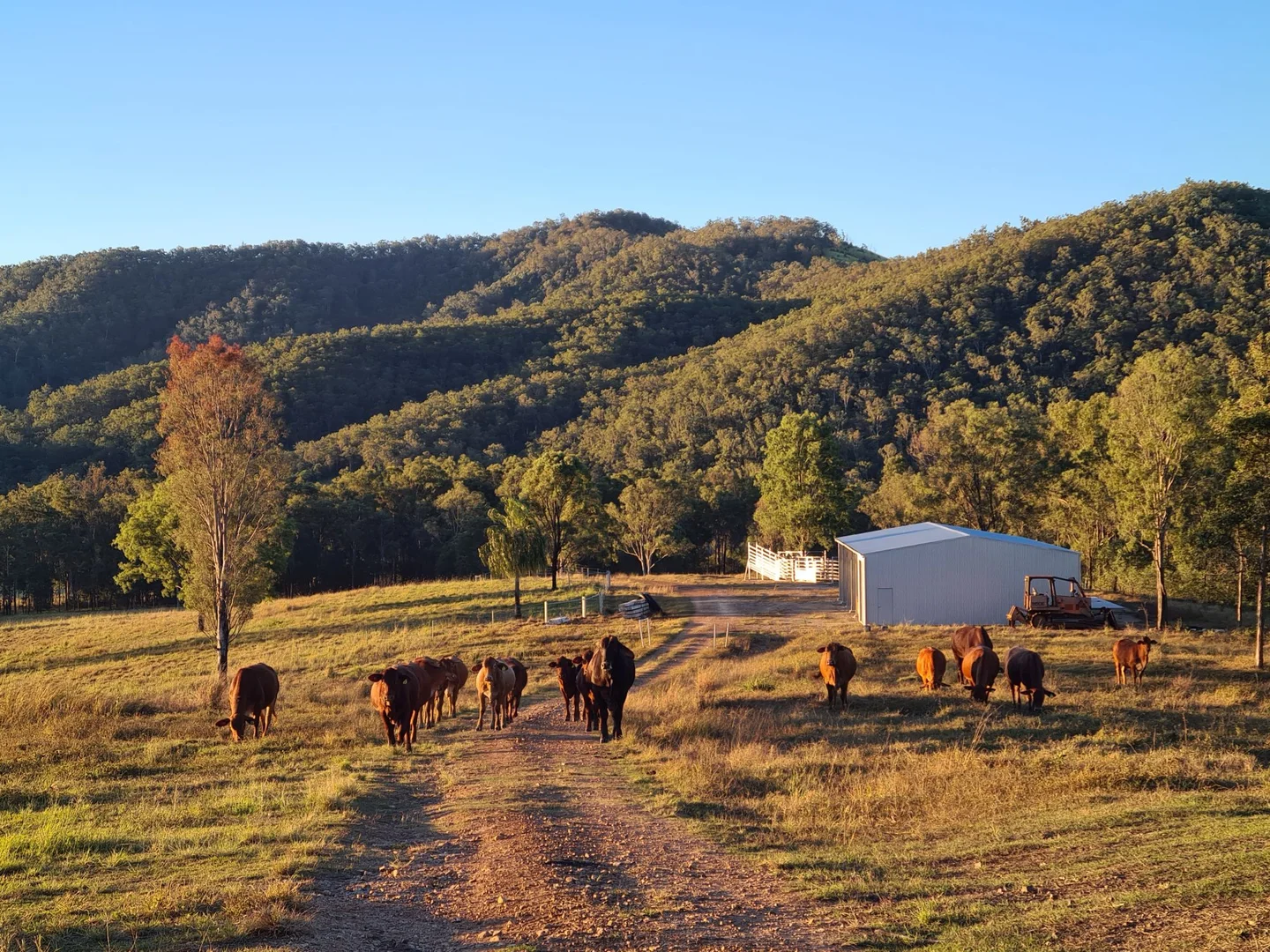 Additional image 39 of Widgee QLD 4570
