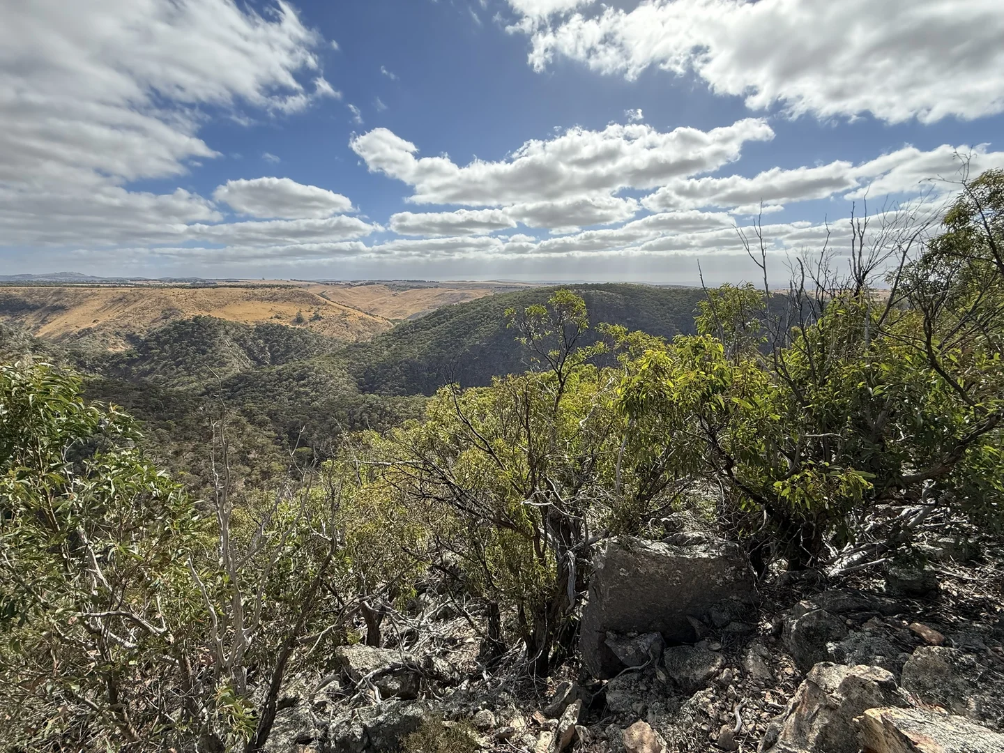 Image 12