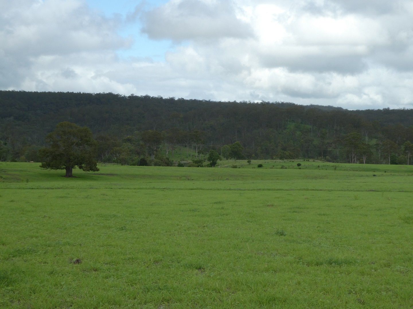 Binjour QLD 4625, Image 0