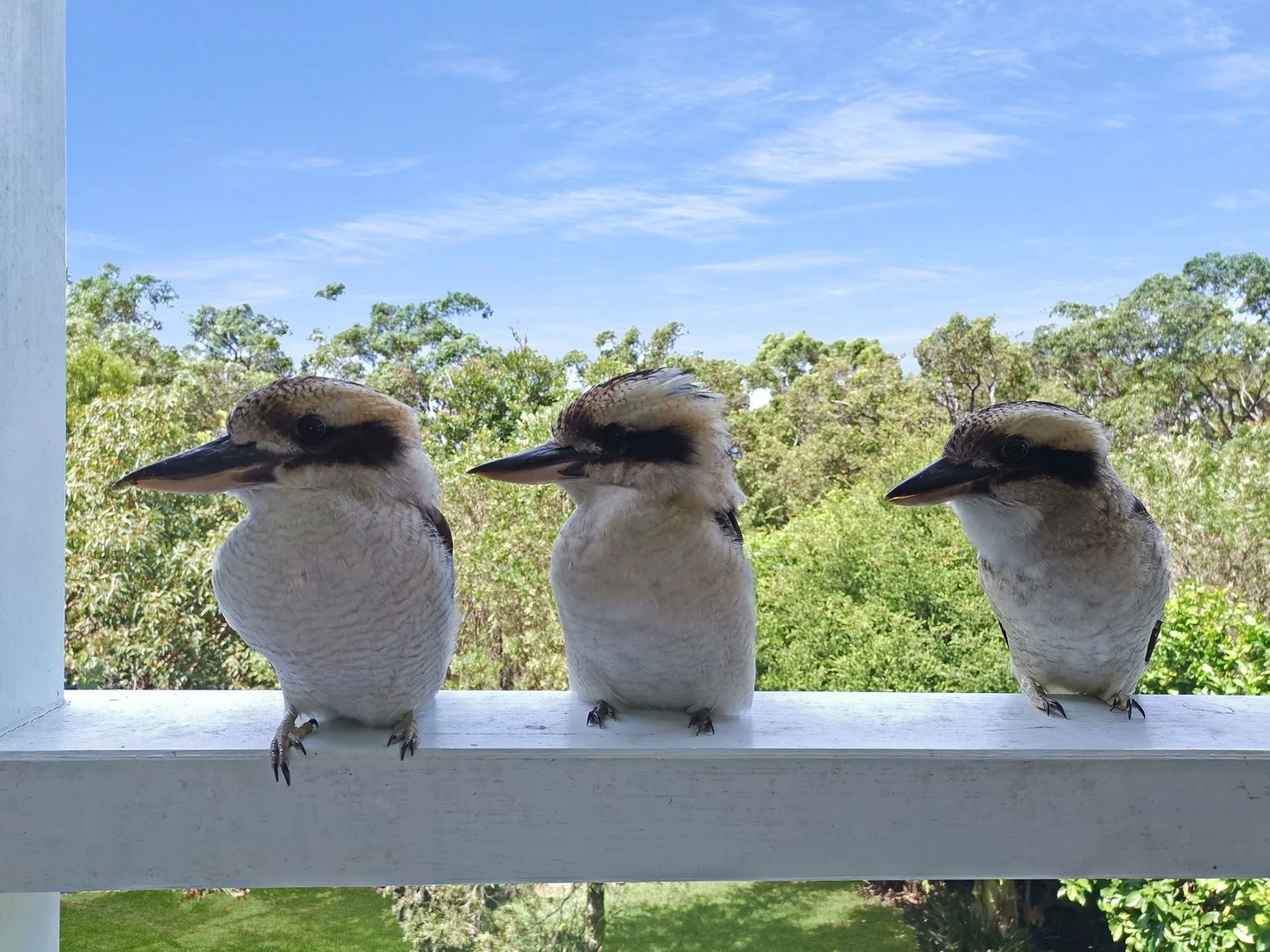 Additional image 7 of 55 Beachview Esplanade, Macmasters Beach NSW 2251
