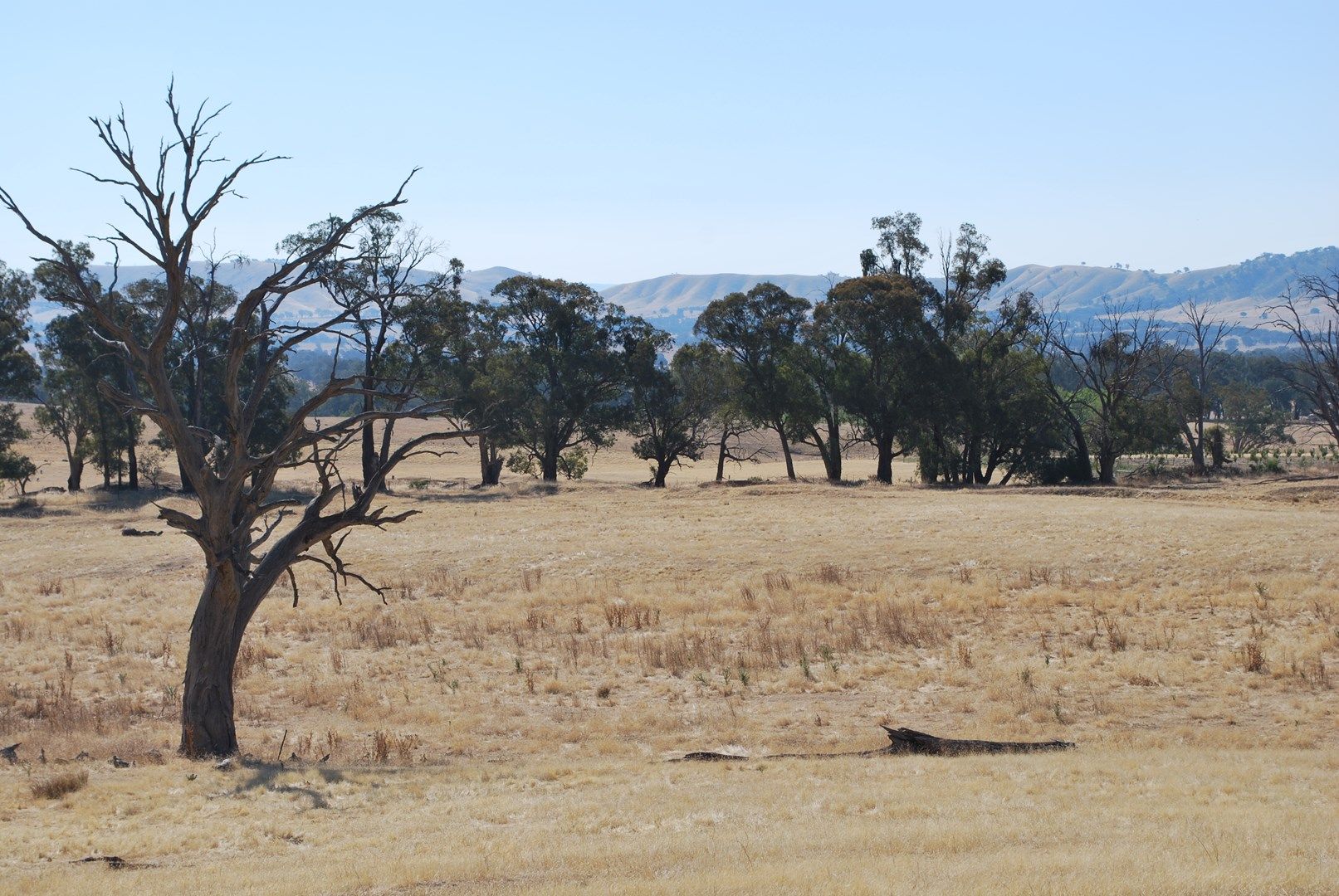 Top Paddock Rae Road, Murmungee VIC 3747, Image 0