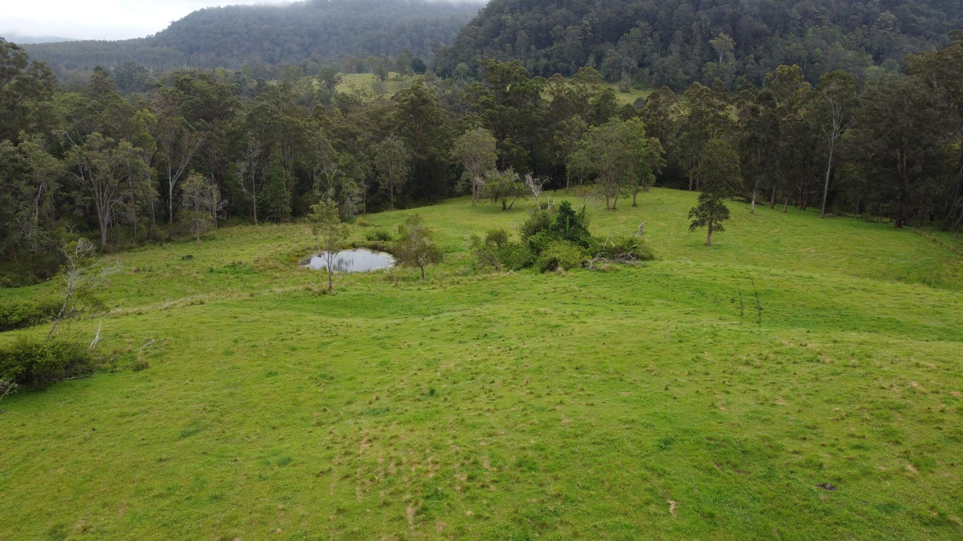 615 Peacock Creek Road, Peacock Creek NSW 2469, Image 1