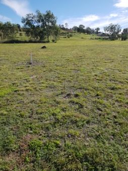 Vacant land in 5 Ridgevale Drive, REGENCY DOWNS QLD, 4341