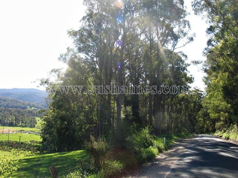 120-190 Sunnyside Road, Railton TAS 7305, Image 0