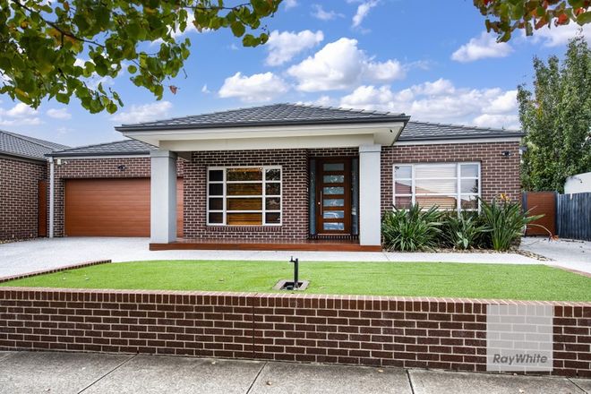 Picture of 35 Balmain Circuit, TAYLORS HILL VIC 3037
