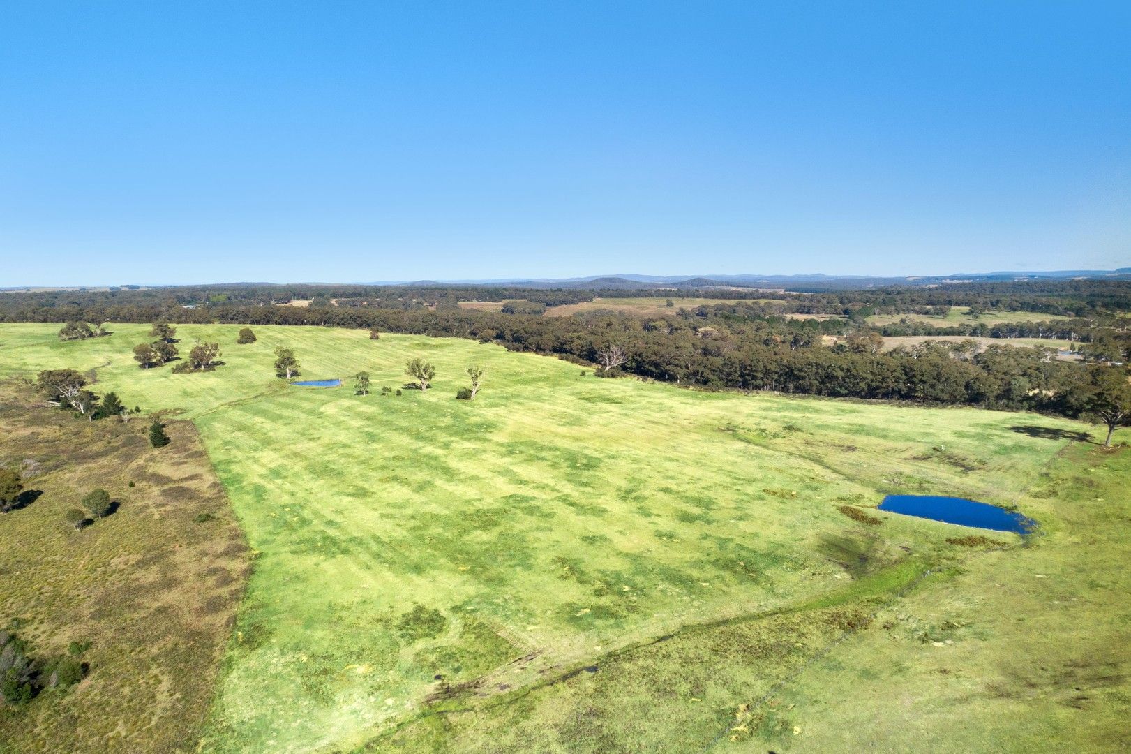 276 Nandi Road, Wingello NSW 2579 Vacant Land for Sale Domain