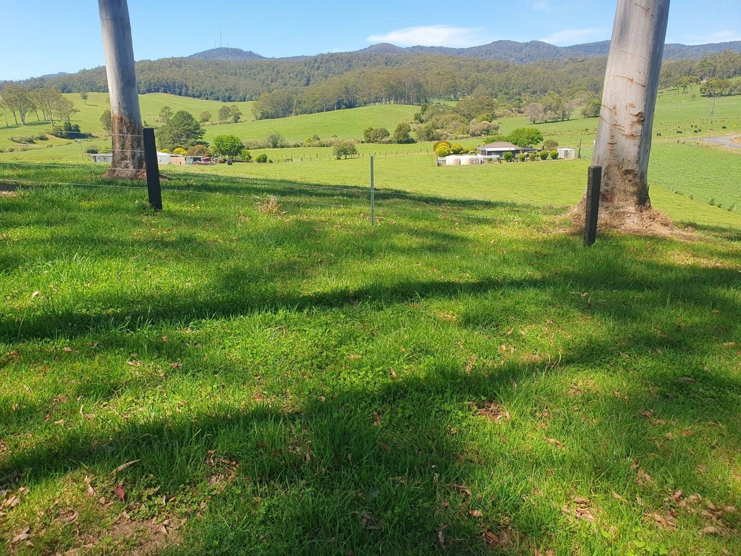 Vacant land in Lot 101 Eastern Dorrigo Way, Brooklana, COFFS HARBOUR NSW, 2450