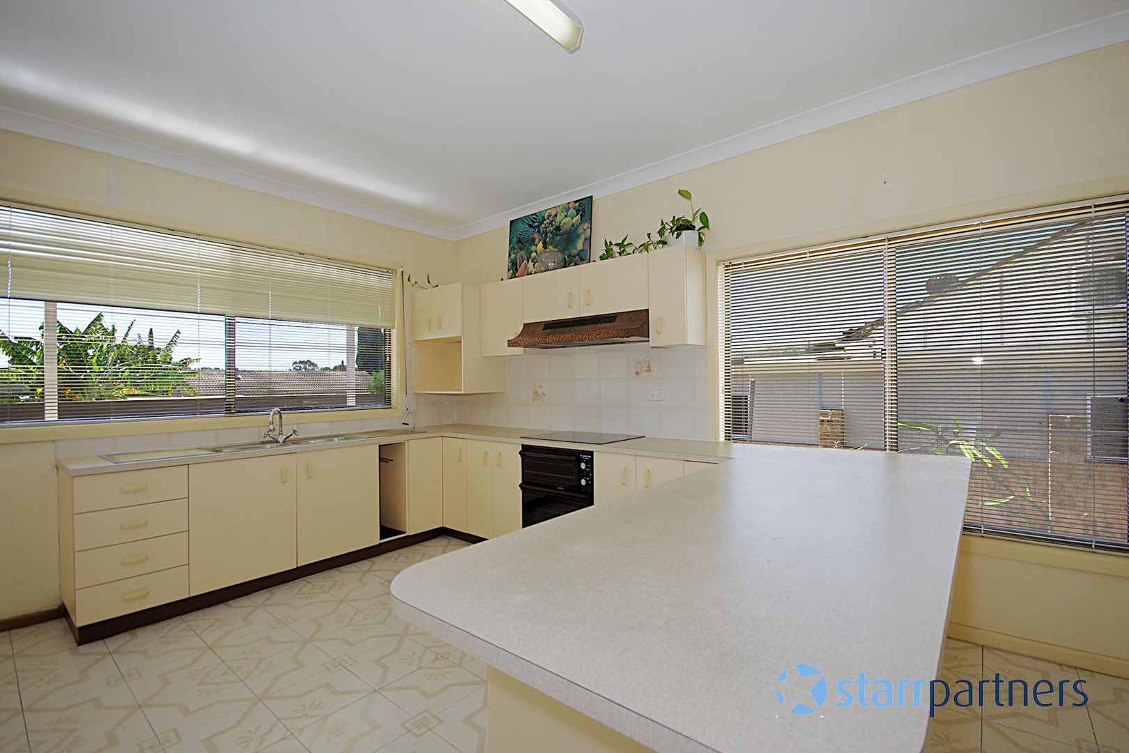 14 Andrew Ave, Canley Heights NSW 2166, Image 2