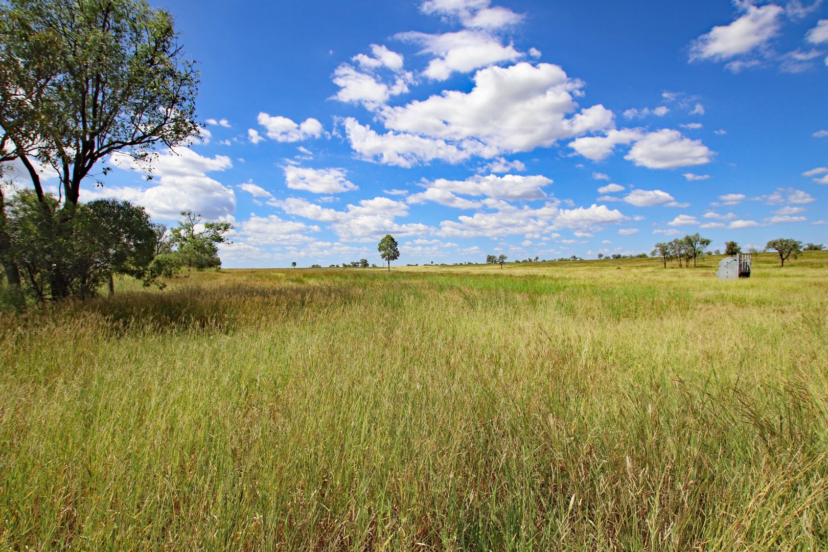 Holmes Road, Camboon QLD 4719, Image 1