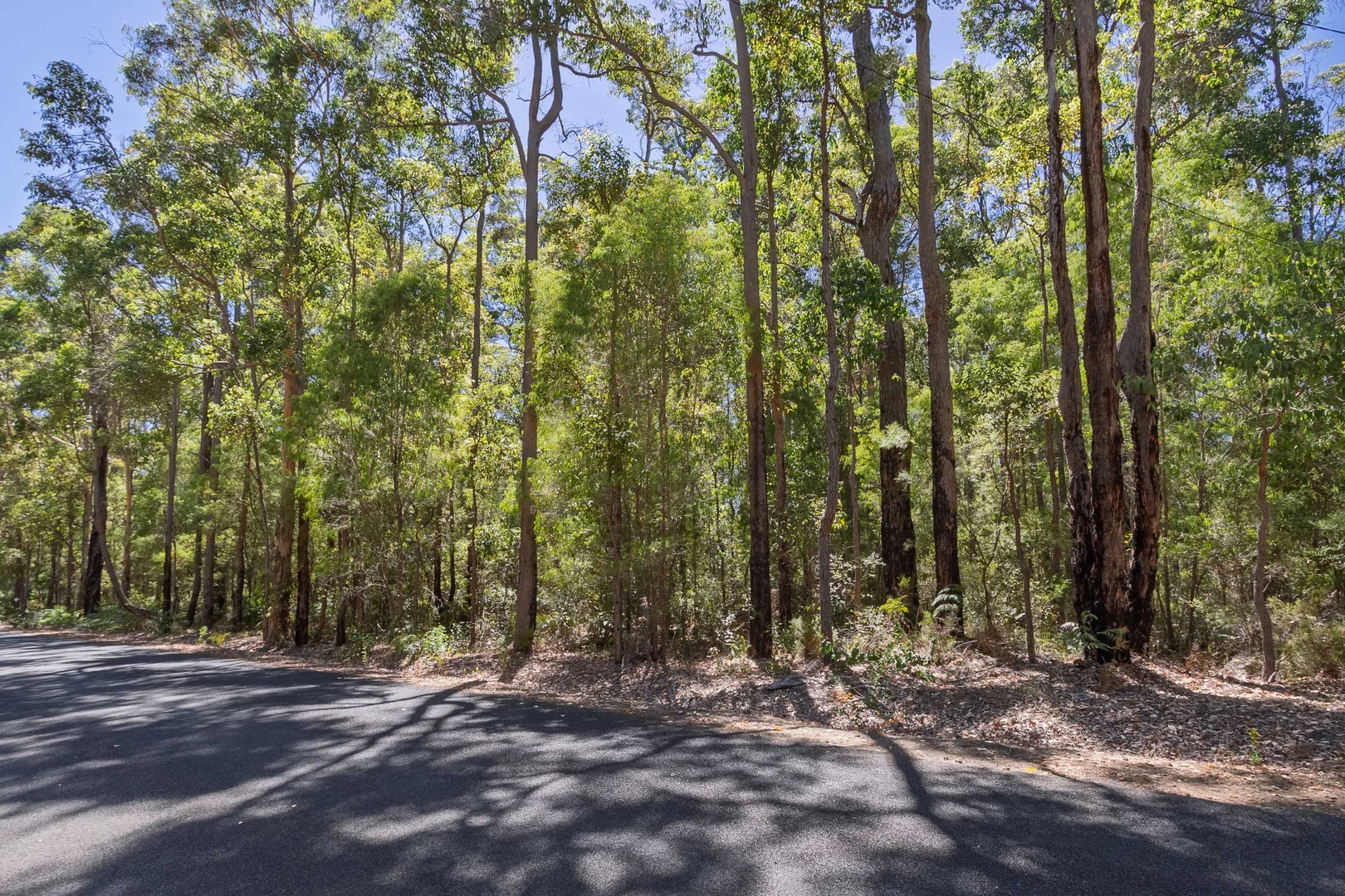 Additional image 5 of Lot 52 Karri Lane, Quinninup WA 6258