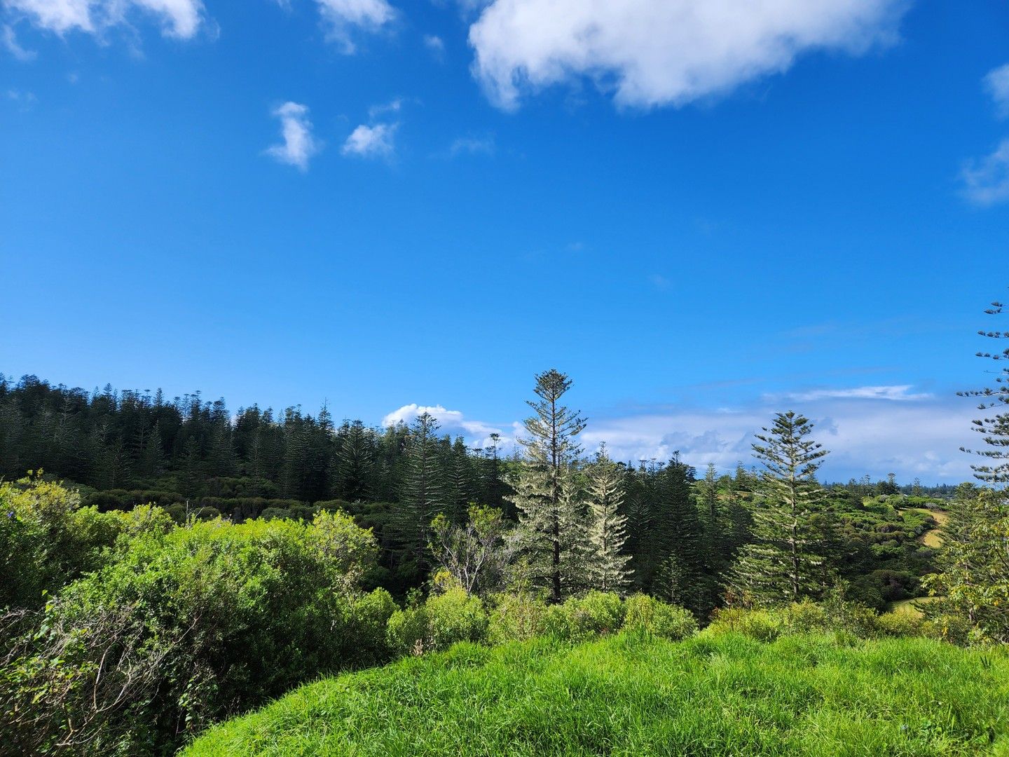 Vacant land in 136n Selwyn Pine Road, NORFOLK ISLAND NSW, 2899