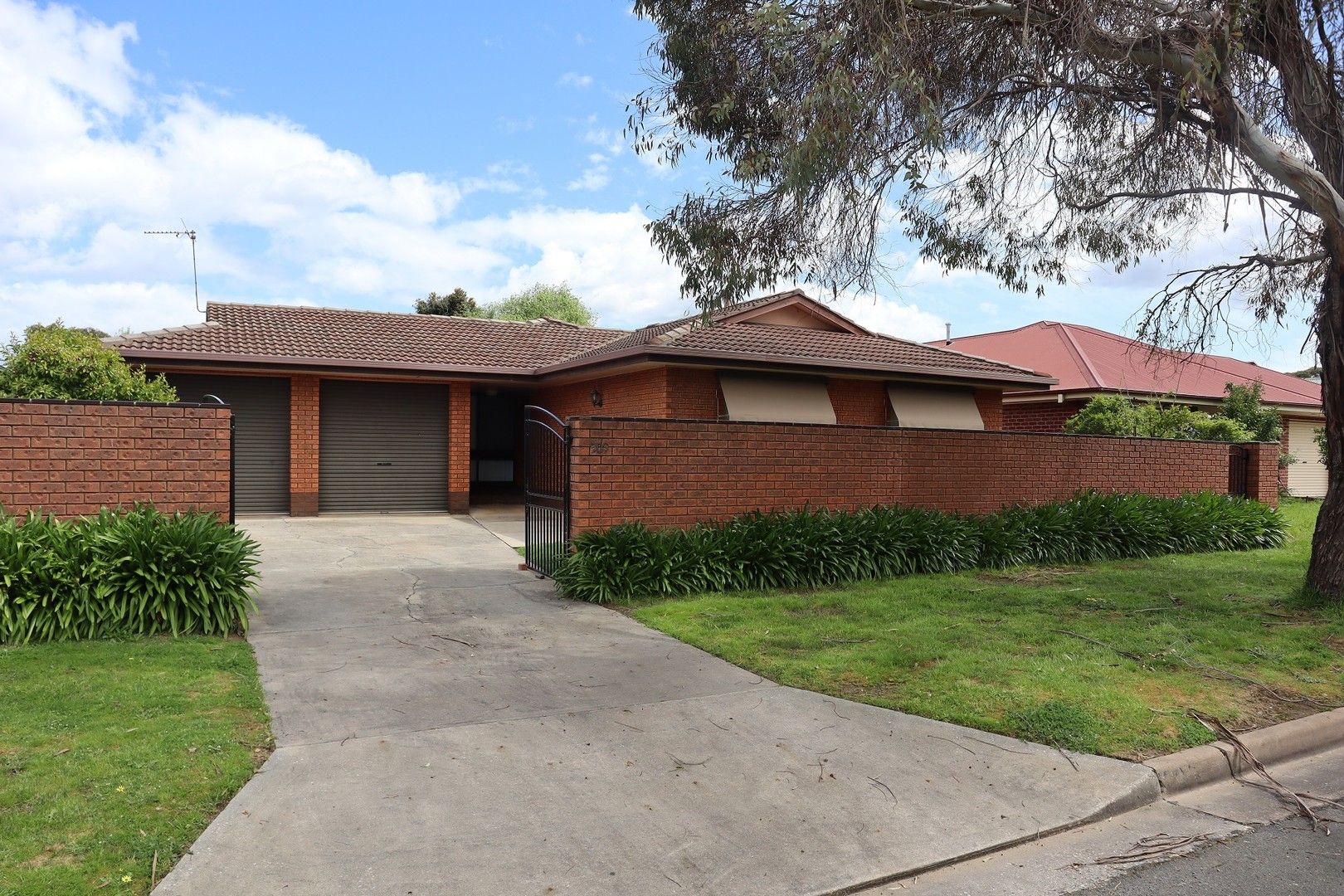 509 Iluka Crescent, Lavington NSW 2641, Image 0