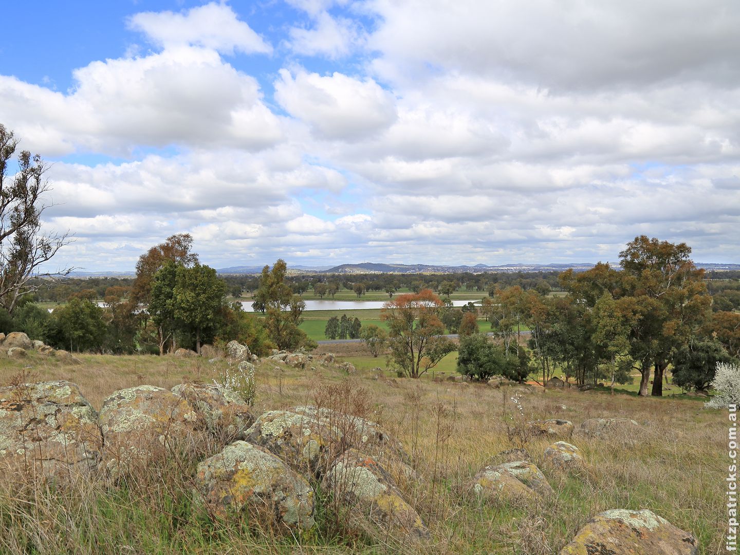 Lot 556 Bradman Drive, Boorooma NSW 2650, Image 2