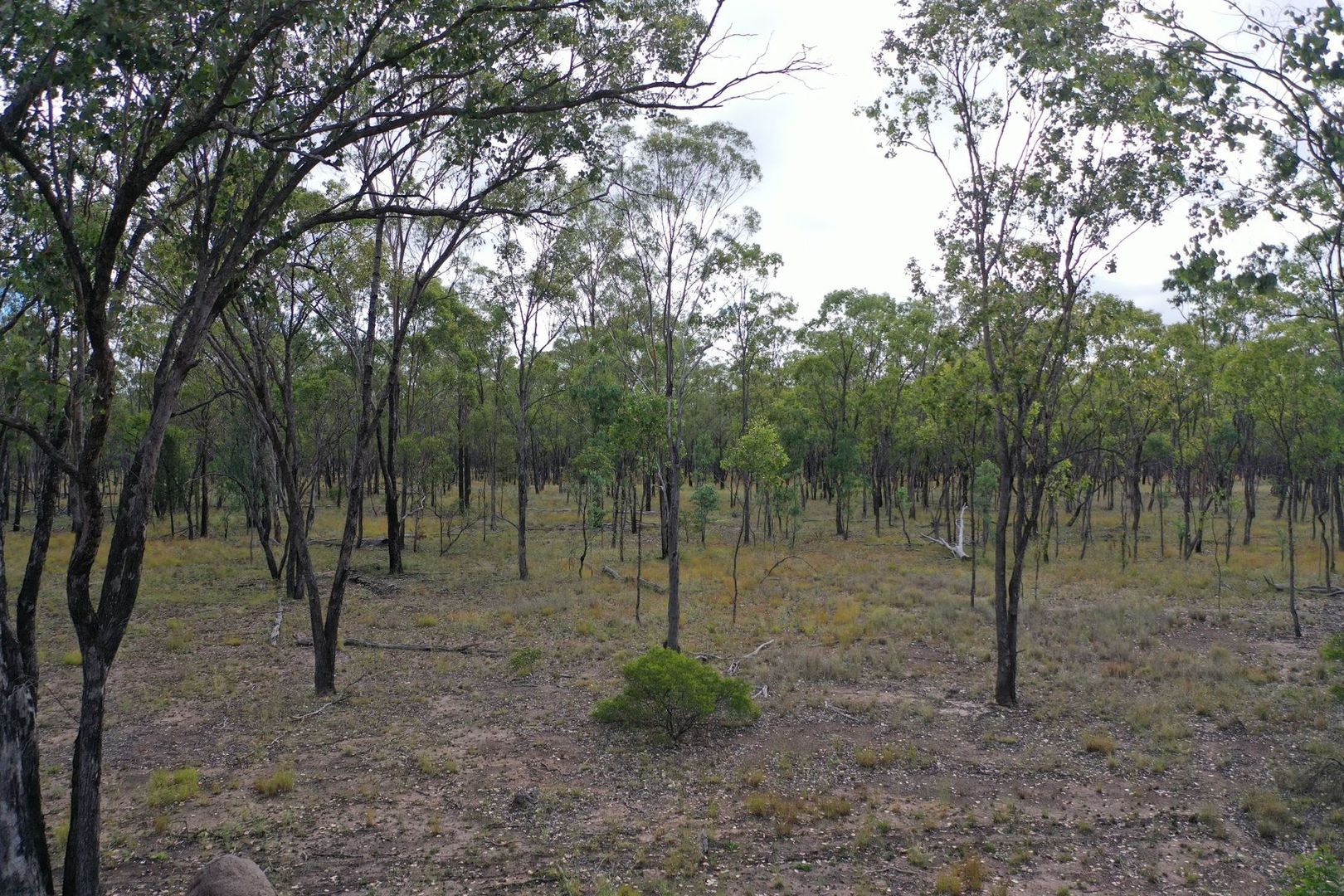 Lot 2 Chinchilla-Tara Road, Chinchilla QLD 4413, Image 2